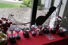 Awards 2012-13
